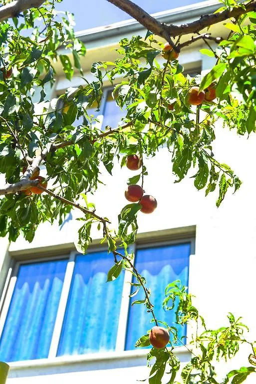 Pemaj Hostel Shkodër